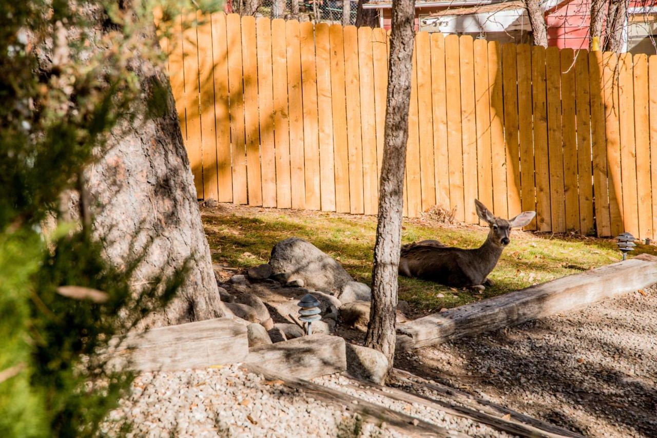 Ruidoso Lodge Cabins # 8 Exterior foto